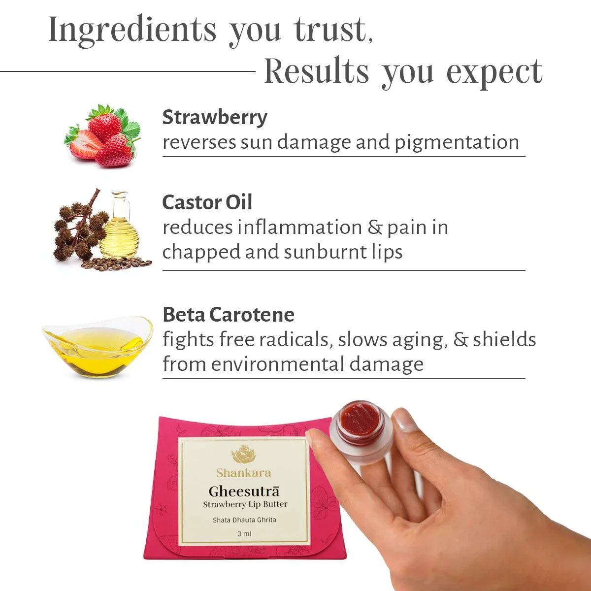 Gheesutrā Strawberry Lip Butter - Shankara India