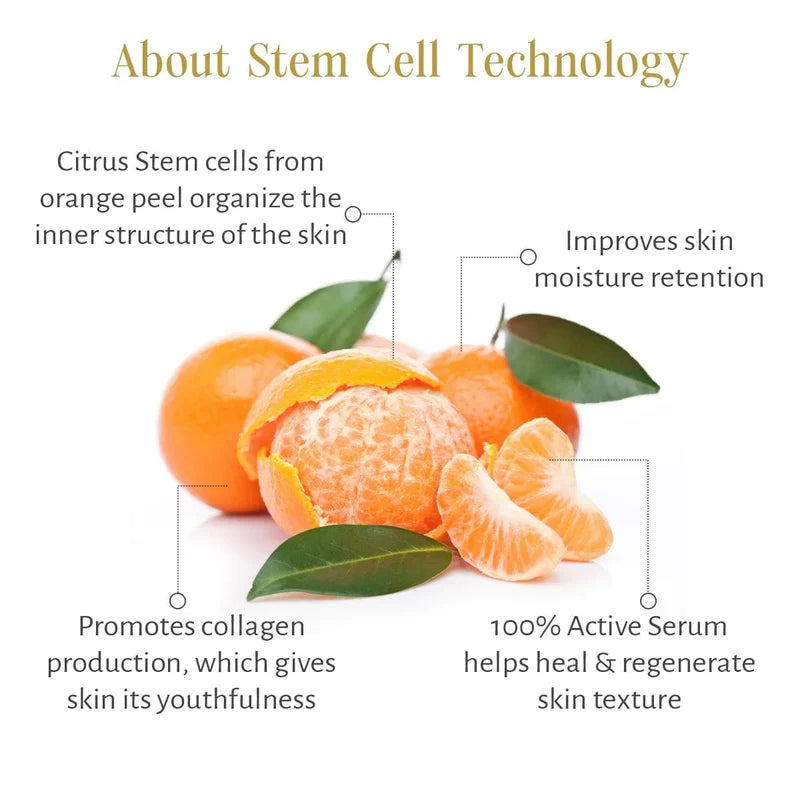 Timeless Restorative Skin Elixir