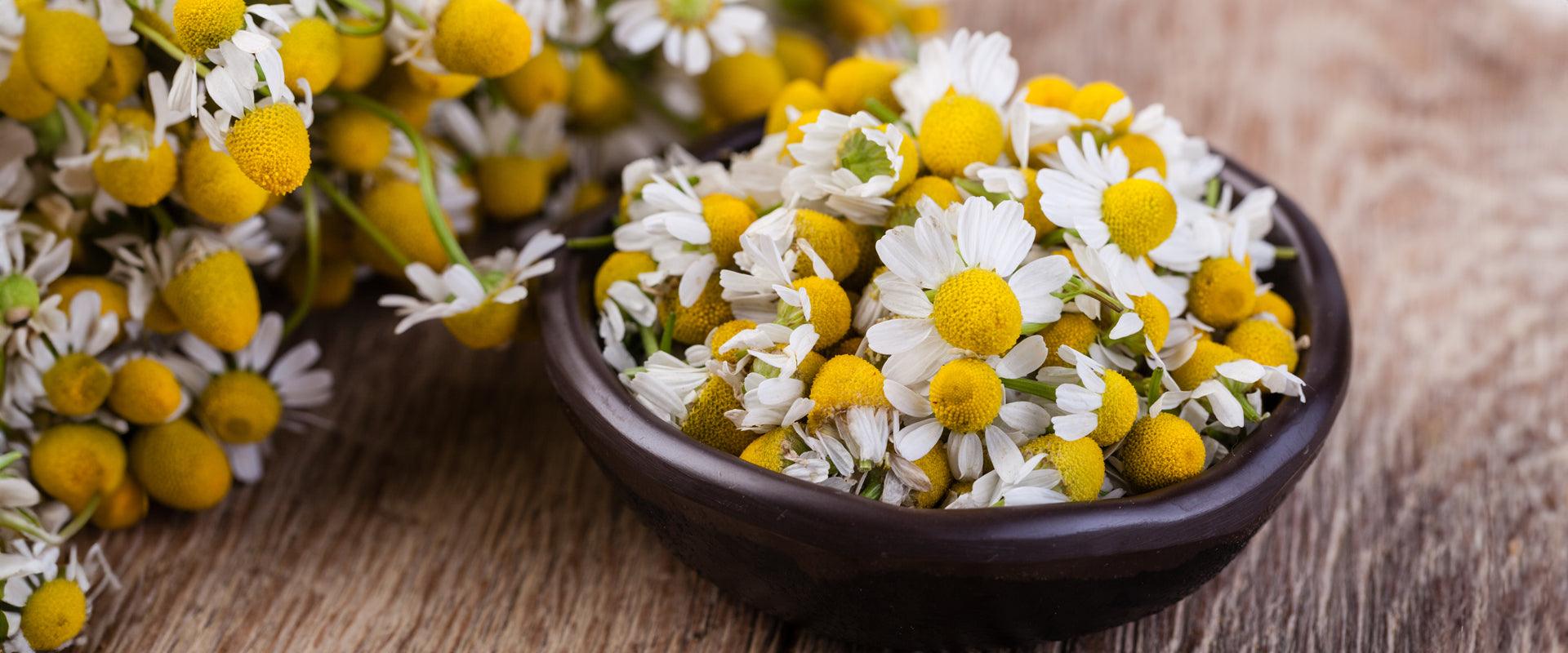 5 Ways Chamomile Can Help You De-stress - Shankara India