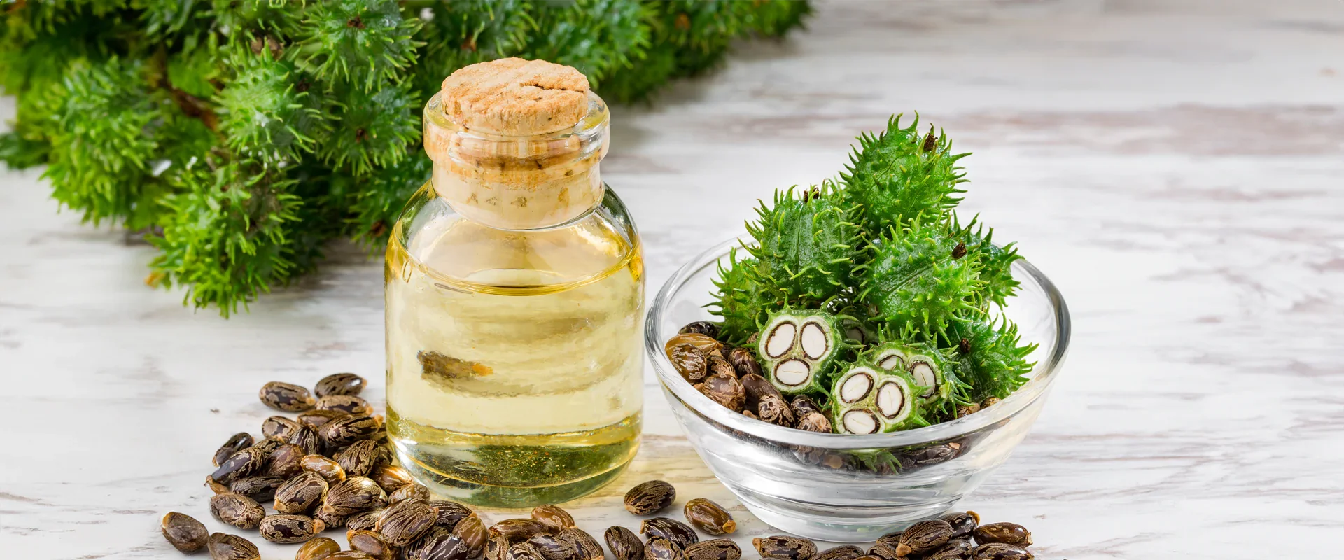 Castor Oil For Skincare: Beyond Hydration A Multitasker