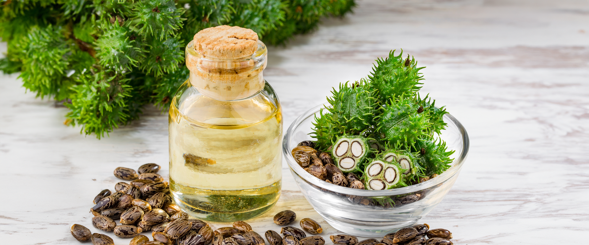 Castor Oil For Skincare: Beyond Hydration A Multitasker