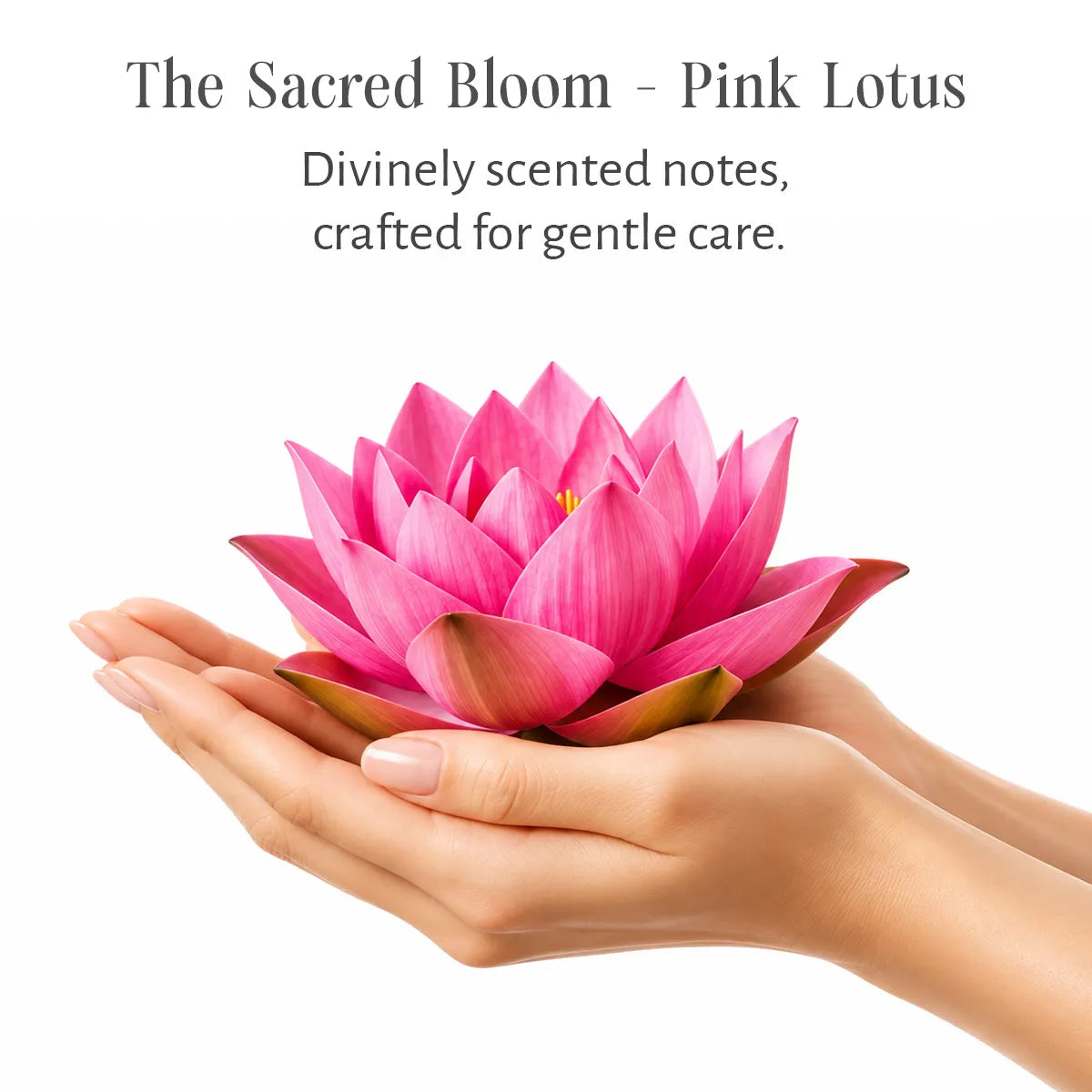 Hydrating Body Milk - Pink Lotus